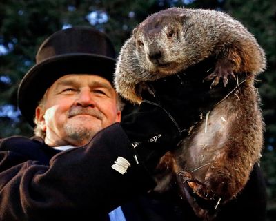 Groundhog Club handler John Griffiths holds Punxsutawney Phil, the weather prognosticating groundhog, during the 131st celebration of Groundhog Day on Gobbler's Knob in Punxsutawney, Pa. Thursday, Feb. 2, 2017. Phil's handlers said that the groundhog has forecast six more weeks of winter weather. (AP Photo/Gene J. Puskar)