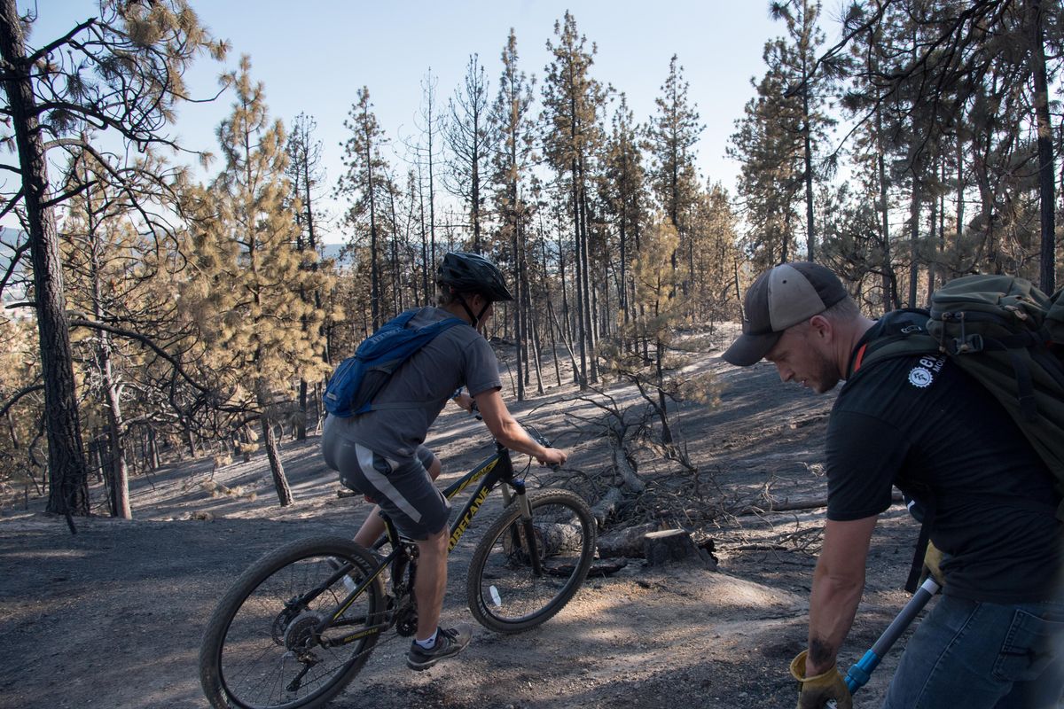 Alexey Florianovich works on a trail near Beacon hill while a mountain biker rides past. On Monday July 23, 2018 about 30 volunteers worked rebuilding and remarking popular mountain bike trails that were damaged by the Upriver Beacon Fire. (Eli Francovich / The Spokesman-Review)