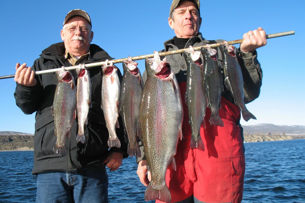 Triploid trout out of Rufus woods lake! Check out the full video