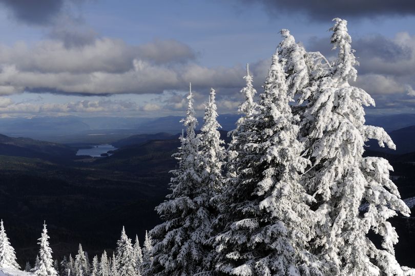 Trees near the top of the mountain are rimmed with snow Tuesday at Mt. Spokane Ski and Snowboard Park. (Jesse Tinsley)