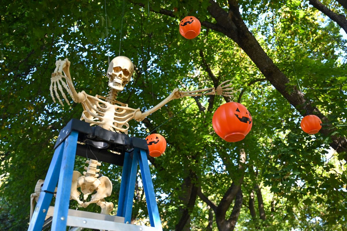 A skeleton atop a stepladder reigns over a Halloween-themed yard near the corner of 22nd Avenue and Manito Boulevard.  (DAN PELLE/THE SPOKESMAN-REVIEW)