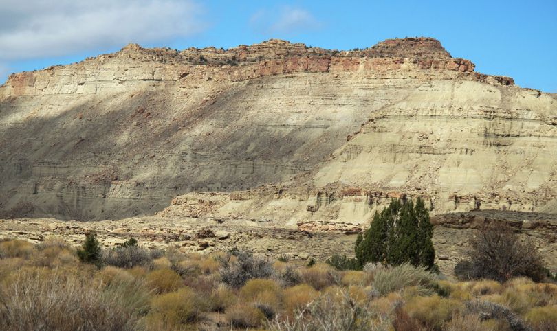 This photo released by the National History Museum of Utah, shows the cliff in the Grand Staircase-Escalante National Monument beneath which the fossilized skeleton of a newly-discovered dinosaur, Lythronax argestes, was found in southern Utah. Scientists say the bone-crushing carnivore is the equivalent of the great uncle of the T. rex. (Mark Loewen / Natural History Museum Of Utah)