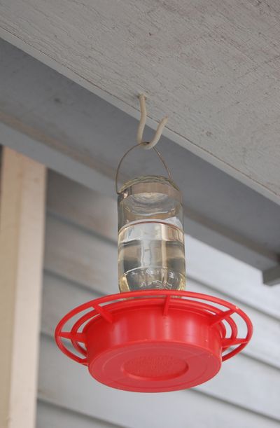 A  feeder filled with a 4-to-1 ratio of water to sugar  will attract hummingbirds. Special to  (Pat Munts Special to)