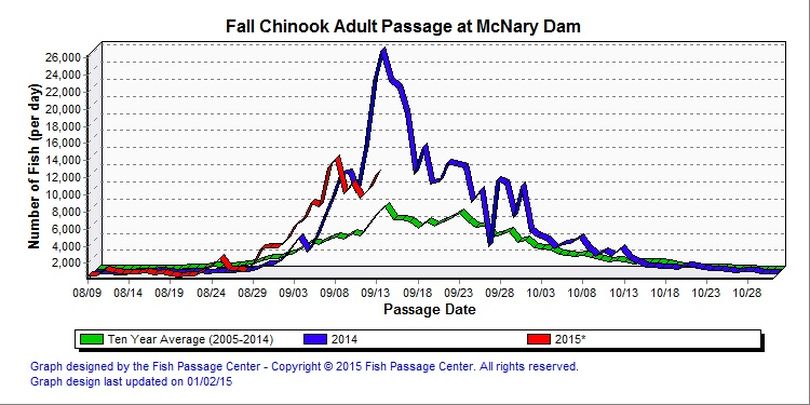 Adult fall chinook counts over McNary Dam posted on Sept. 14, 2015. (Fish Passage Center)