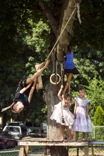 Endless entertainment: The Barnes children, Brohammer, 10, left; Gabriella, 4, center; Galille, 6, right; and Sibylla, 8, with back to camera, take turns on the family rope swing in West Central on Tuesday morning. “They swing all summer long,” said the children’s mother, Jitanna. “This is what we do instead of watching TV.” (Colin Mulvany)