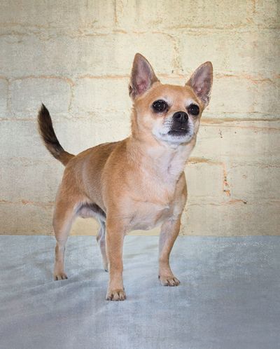 <!-- Feature creature  --> (Photo courtesy of Karen Fosberg)