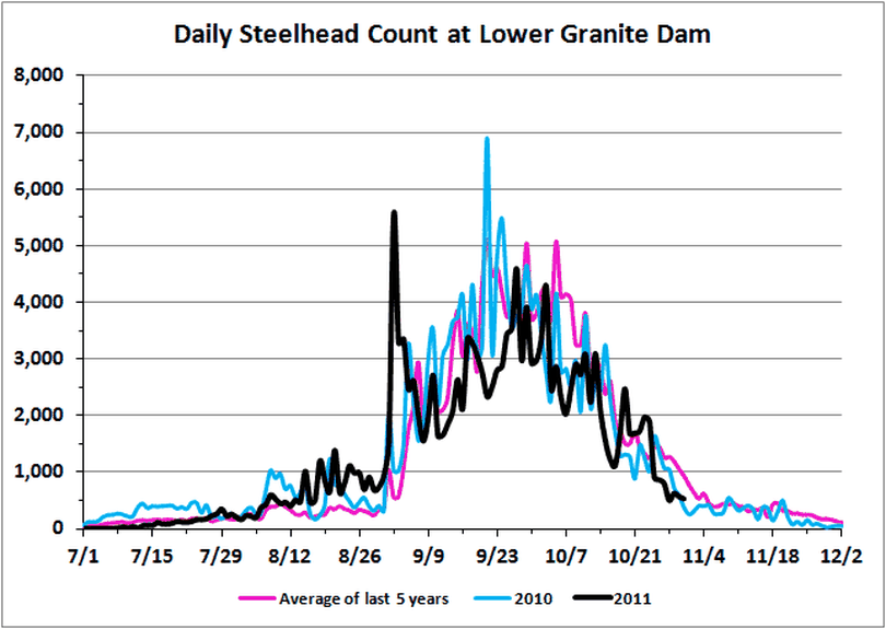 
Steelhead chart for Lower Granite Dam as of 11-1-11. (Fish Passage Center)