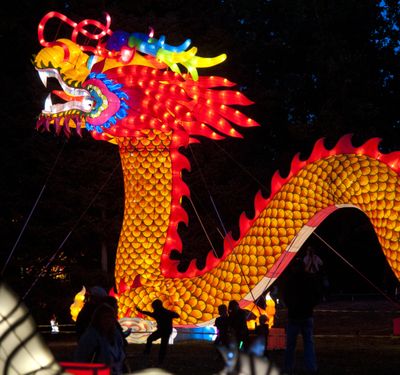Children perform cartwheels in the shadow of the dragon at the Chinese Lantern Festival in Riverfront Park.