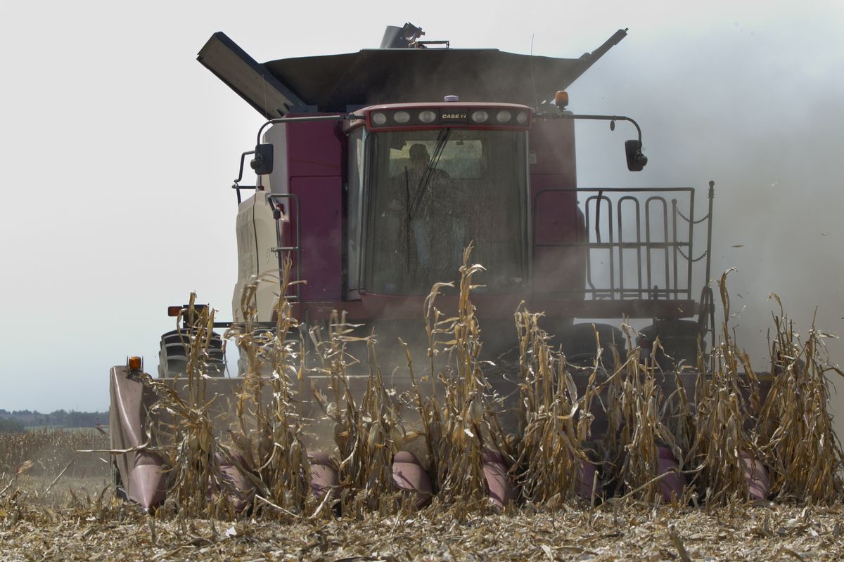 A combine is surrounded by dust at it finishes harvesting a row of corn near Bennington, Neb., Thursday, Sept. 6, 2012. The remnants of Hurricane Isaac dumped heavy rain on some key Midwest farming states that dramatically lessened the drought there, but conditions worsened in two of the nation