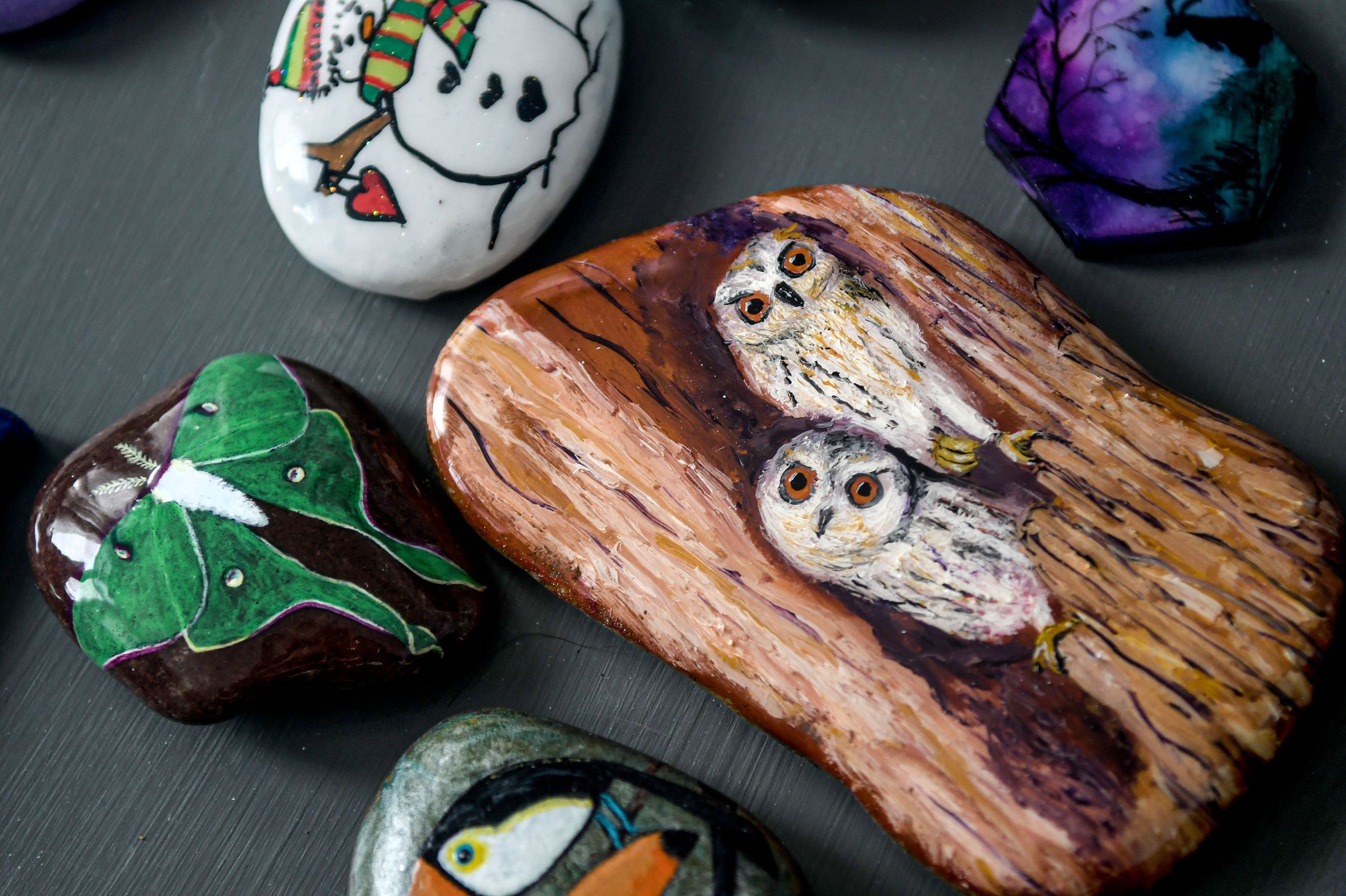 Painted Rocks Spread Joy and Community in Lewis County - LewisTalkWA