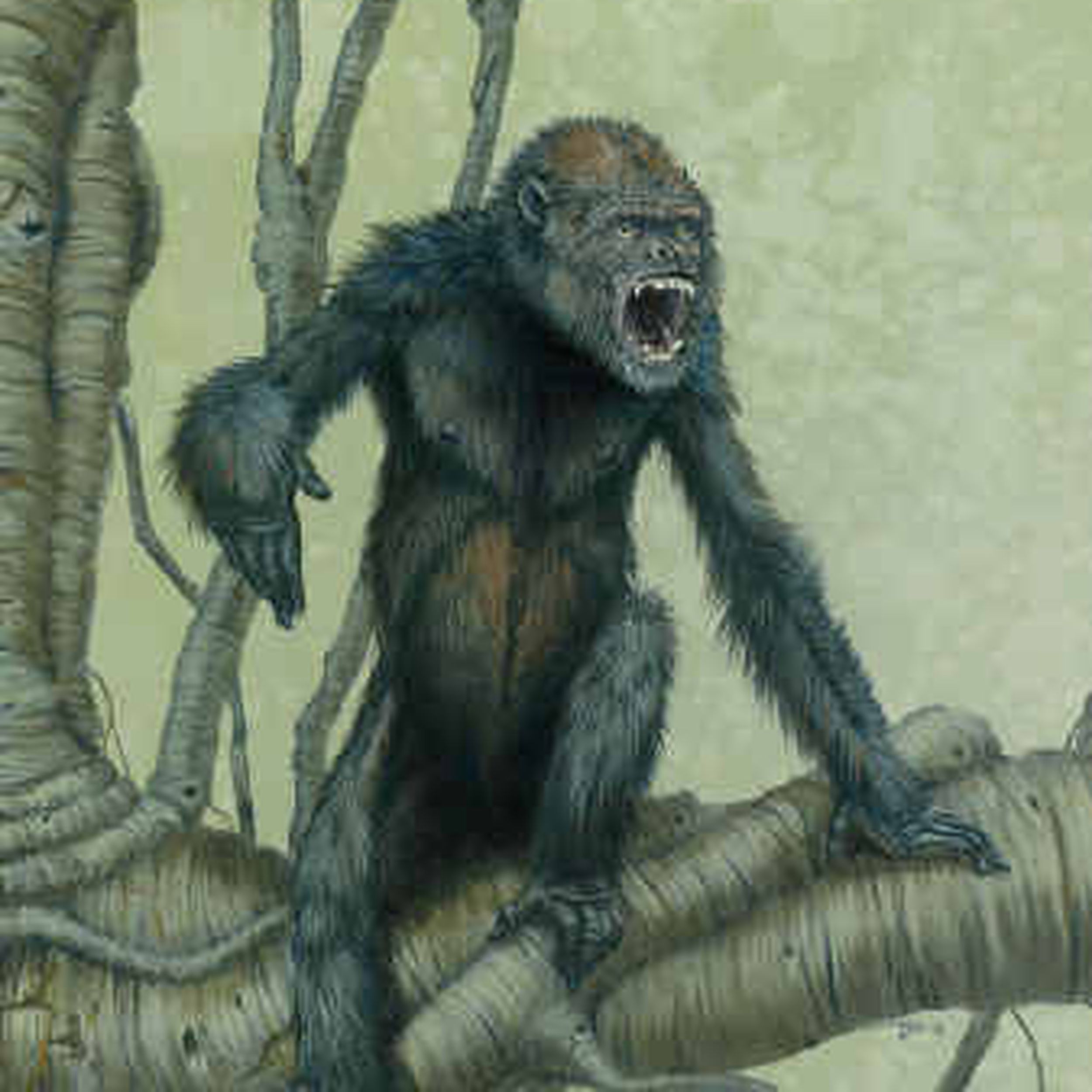 Remains of ancient ape found in Spain | The Spokesman-Review