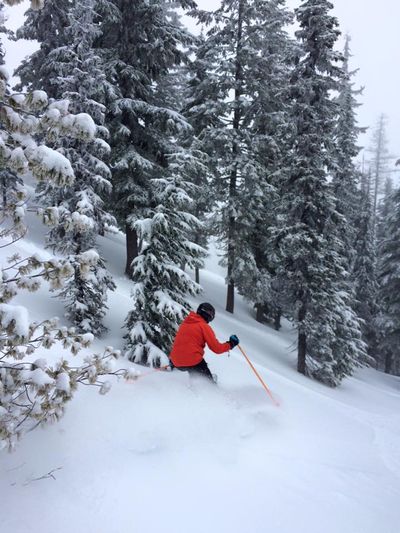 A skier carves through new snow on March 23, 2016 at Silver Mountain Resort. (Alison Boggs / The Spokesman-Review)