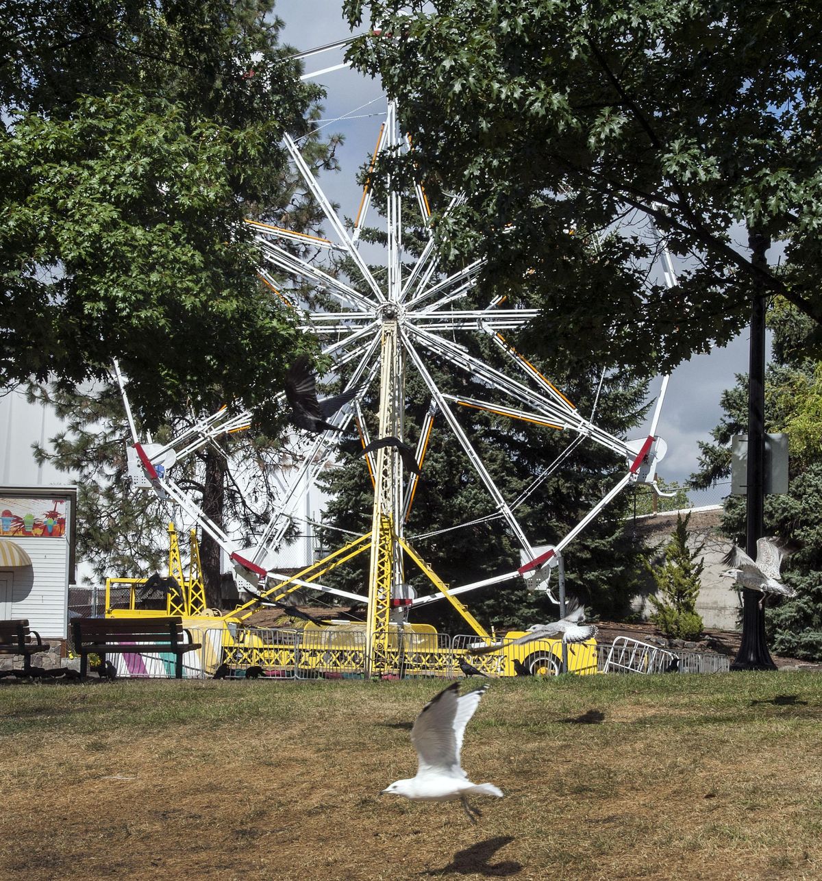 The Ferris Wheel ride at Riverfront Park is seen. (Dan Pelle / The Spokesman-Review)