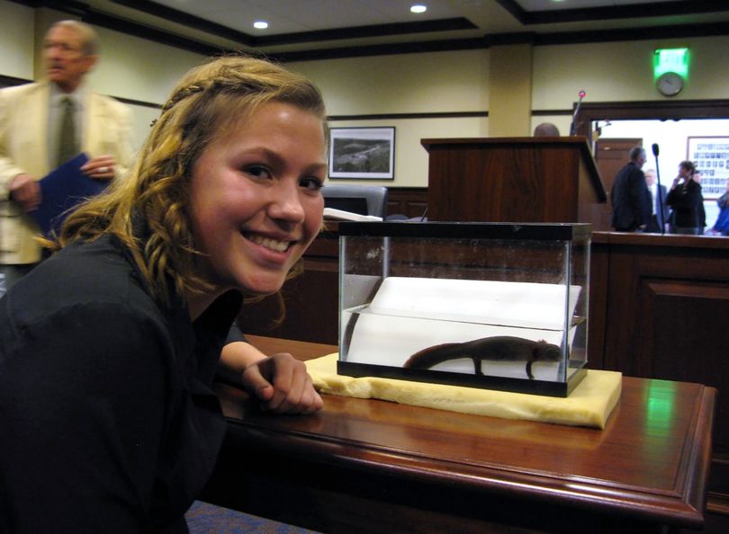 Ilah Hickman, 14, poses for a photo with a young Idaho giant salamander at the state Capitol in Boise on Monday. Idaho lawmakers worried that special recognition of the Idaho giant salamander could lead to federal protections, have rejected the eighth-grader’s request that it be named the state amphibian. (Betsy Z. Russell)