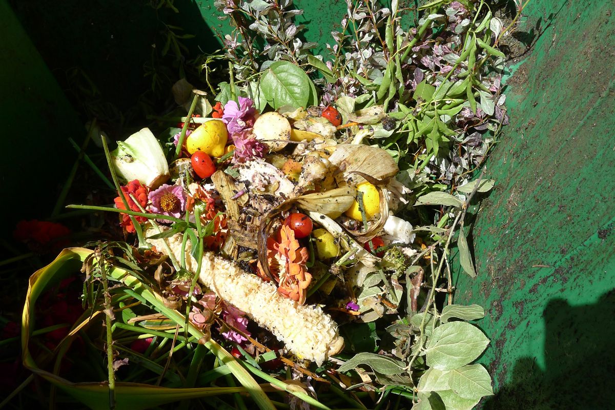 Starting this fall, Portland, Ore., residents will be able to put their food waste into recycling containers. (Pete Dunlop / Down to Earth NW Correspondent)