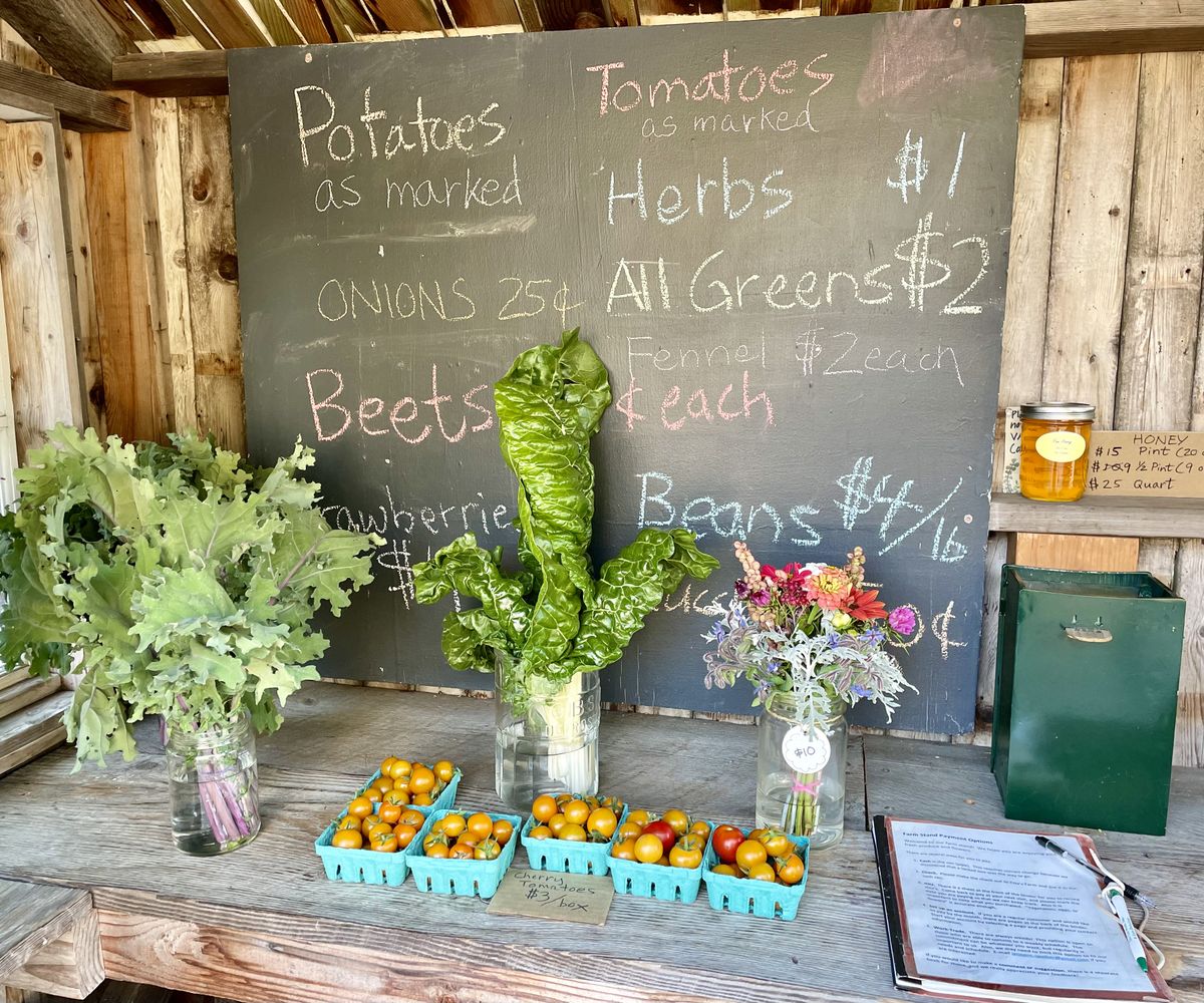 Our Tiny Kitchen