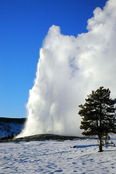 The Old Faithful geyser erupts in Yellowstone National Park. The chamber of magma beneath the the park is 18 miles wide and runs from 3 to 9 miles below the earth (File)