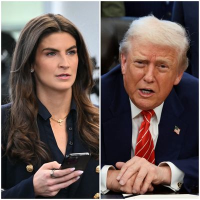 President Trump told CNN anchor Kaitlan Collins he's never seen her smile in an exchange at the White House on Feb. 3.  (Mandel NGAN/AFP via Getty Images)
