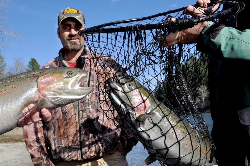 Orofino fishing guide Jim McCarthy relishes the moment after netting two Clearwater River steelhead hooked simultaneously.