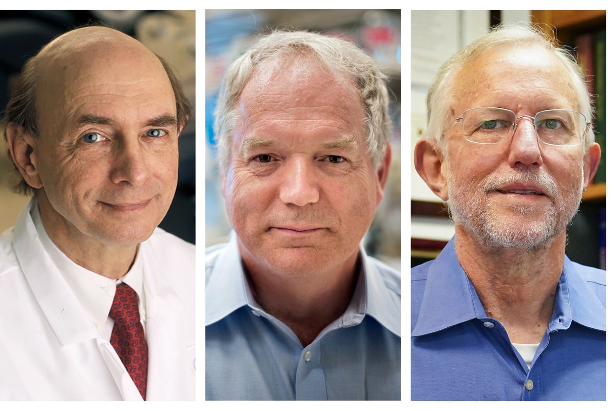 This combination of photos shows, from left, Harvey J. Alter, Charles M. Rice, and Michael Houghton who jointly won the Nobel Prize for medicine on Monday, Oct. 5, 2020, for their discovery of the hepatitis C virus. The major source of liver disease affects millions worldwide.  (Rhoda Baer Richard Siemens John Minchillo)