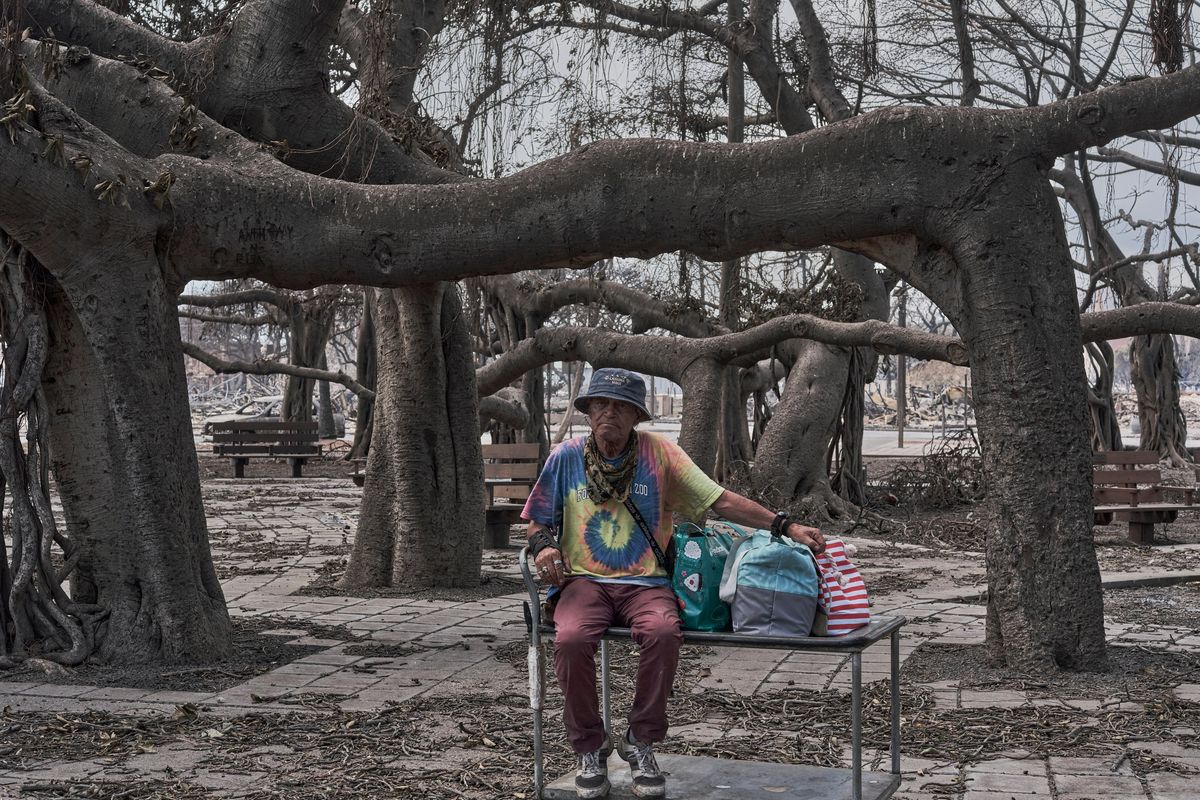 Left: Sarah Salmonese sits where her apartment once stood in Lahaina, Hawaii, on Friday, two days after it was devastated by wildfire. A historic coastal town that was once home to 13,000 people is a desolate ruin. With the death toll into the dozens and rising, the true scope of the tragedy is still unfolding. Below: Anthony C. Garcia, 80, who has lived in Lahaina for 25 years, rests under a damaged banyan tree at the Lahaina Banyan Court after a wildfire swept through the town. (PHILIP CHEUNG / For The New York Times)