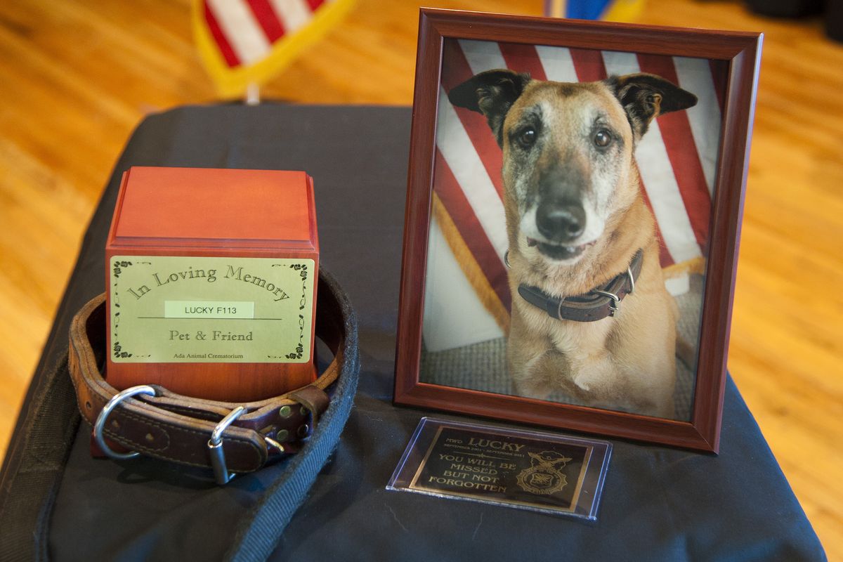 Lucky, a Fairchild Air Force Base military working dog, died Sept. 30. A memorial service to commemorate his life and duties with the 92nd Security Forces Squadron was held on base Thursday. (Colin Mulvany)