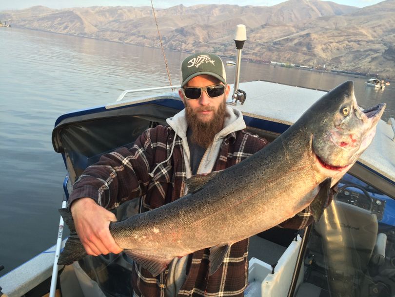 Tyler Barrong of Spokane lands a 34.25-inch fall Chinook while salmon fishing near the confluence of the Clearwater and Snake rivers on Sept. 16, 2014.    (Shawn Barrong)