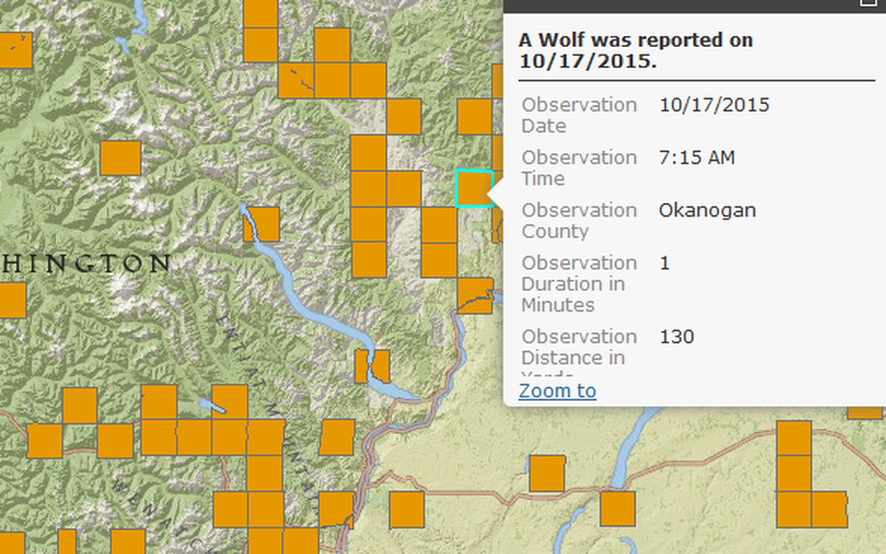 Washington's wolf reporting webpage indicates sightings in the Loup Loup Pass area of Okanogan County.