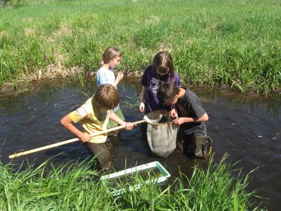 Fourth-graders at Arcadia Elementary collect stream critters for identification and counting.Courtesy of Arcadia Elementary School (Courtesy of Arcadia Elementary School / The Spokesman-Review)