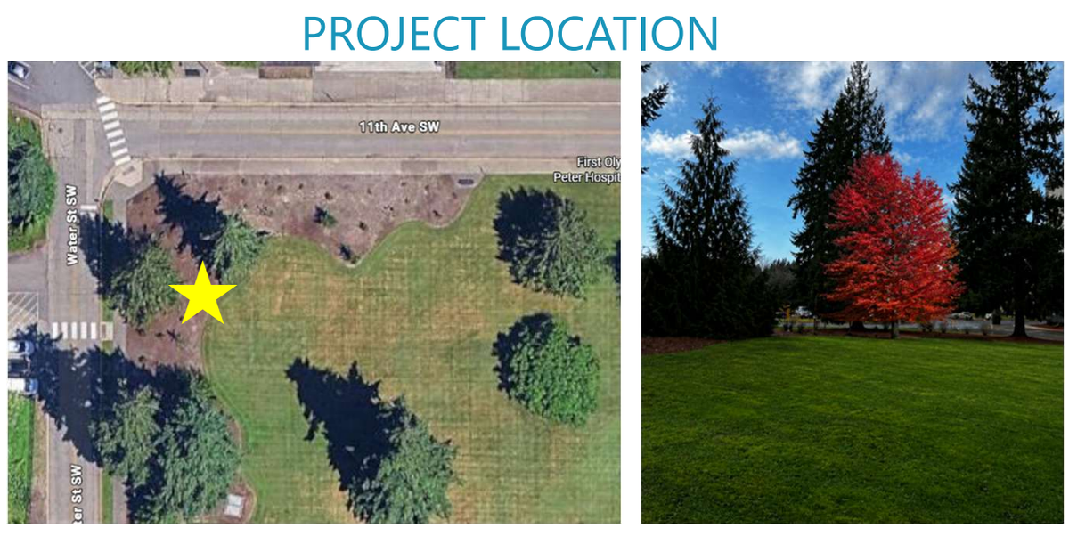 A tree from the estate of former president George Washington will be planted on the capitol campus later this year in honor of the country