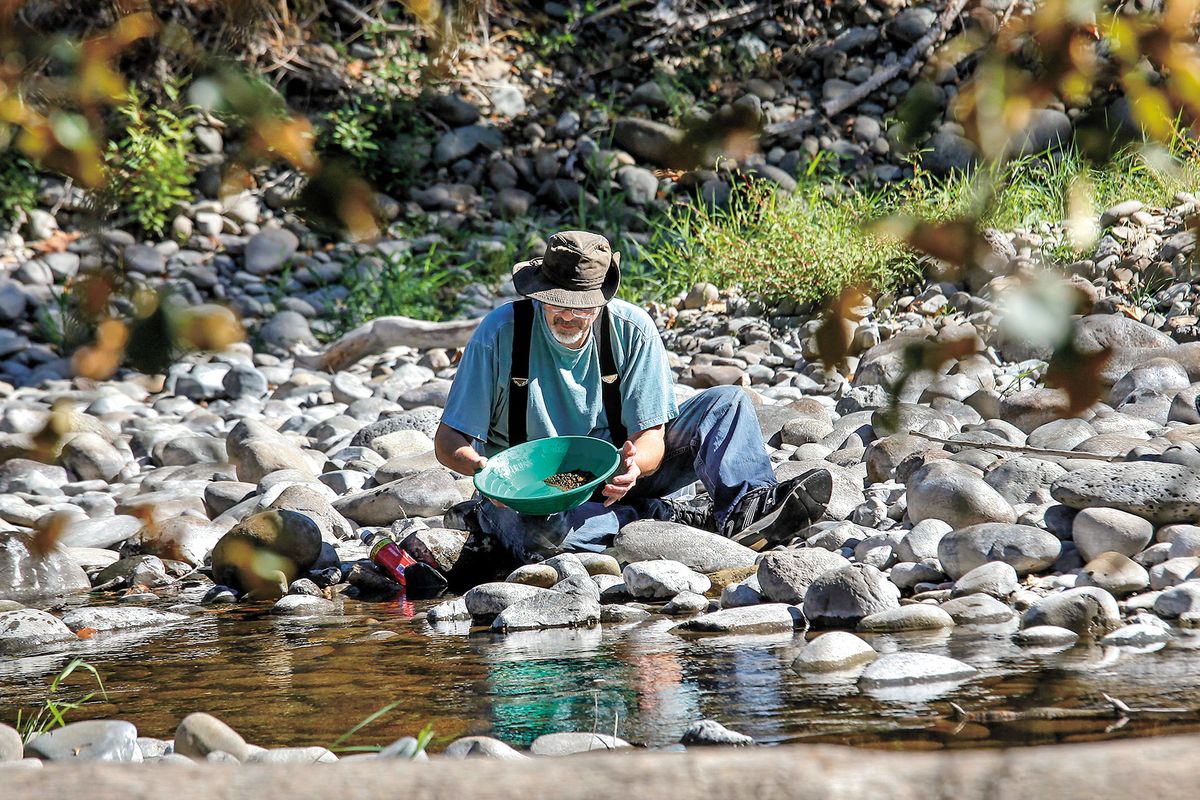 Dennis Blevins pans for gold on the East Fork Lewis River during an outing of the Southwest Washington Gold Prospectors. (Associated Press)