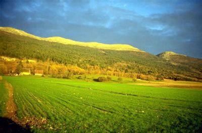 
The rounded Jura mountains, which run along the border between France and Switzerland, may lack some of the spectacular scenery of the nearby Alps but are less steep for cyclists. 
 (The Spokesman-Review)