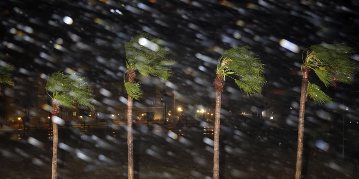 Rain is blown past palm trees as Hurricane Harvey makes landfall, Friday, Aug. 25, 2017, in Corpus Christi, Texas. Harvey intensified into a hurricane Thursday and steered for the Texas coast with the potential for up to 3 feet of rain, 125 mph winds and 12-foot storm surges in what could be the fiercest hurricane to hit the United States in almost a dozen years. (Eric Gay / Associated Press)