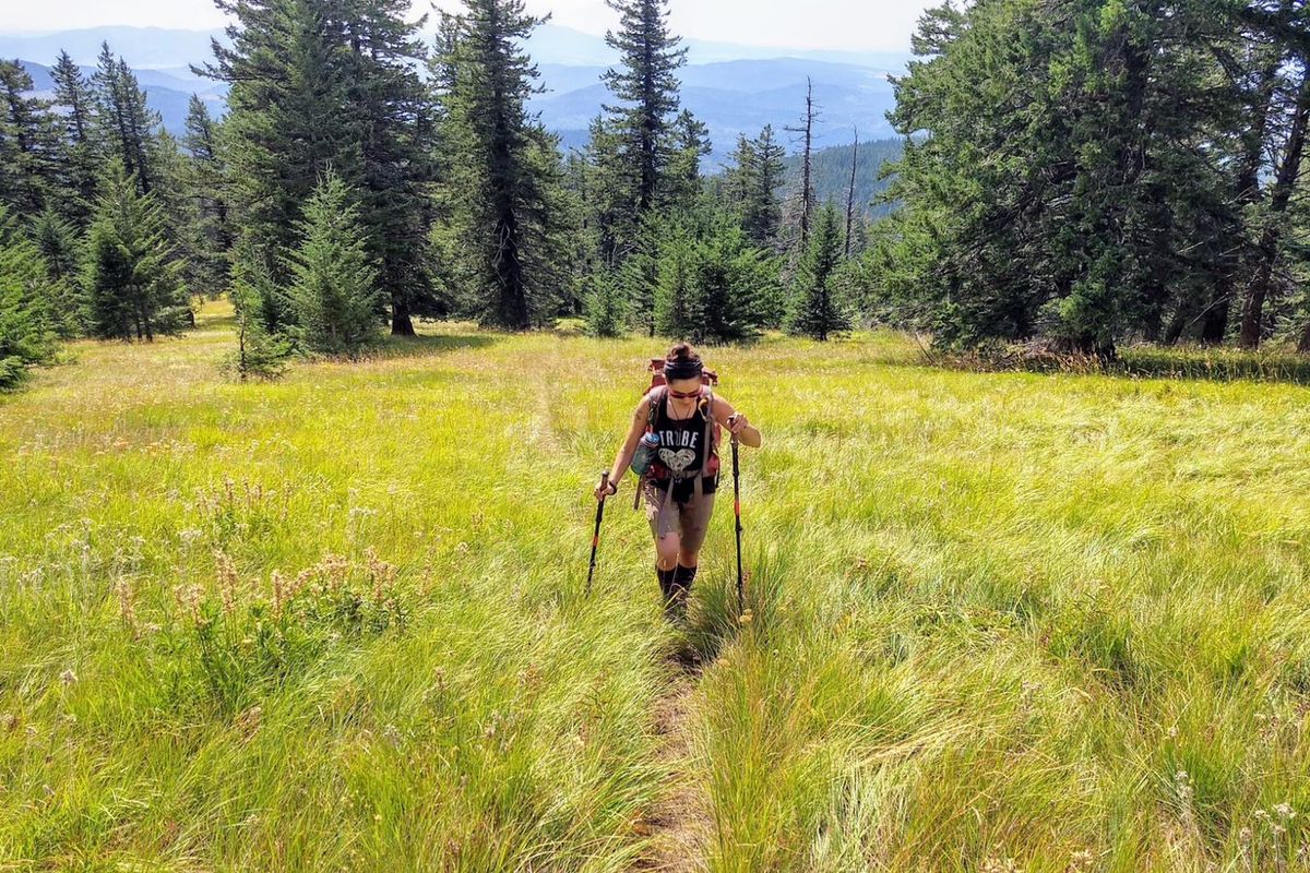 A hiker follows the Mount Kit Carson Trail at Mount Spokane State Park.  (Courtesy of LIbby Kamrowski/Visit Spokane)
