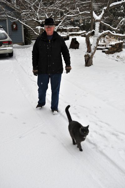 Earl the cat sets out on a walk among deer tracks left earlier in the driveway. (Pat Munts)