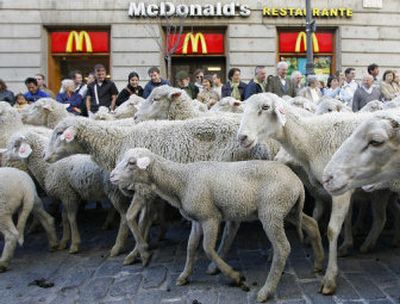 
Hundreds of sheep are driven through Madrid on Sunday during an annual protest. 
 (Associated Press / The Spokesman-Review)