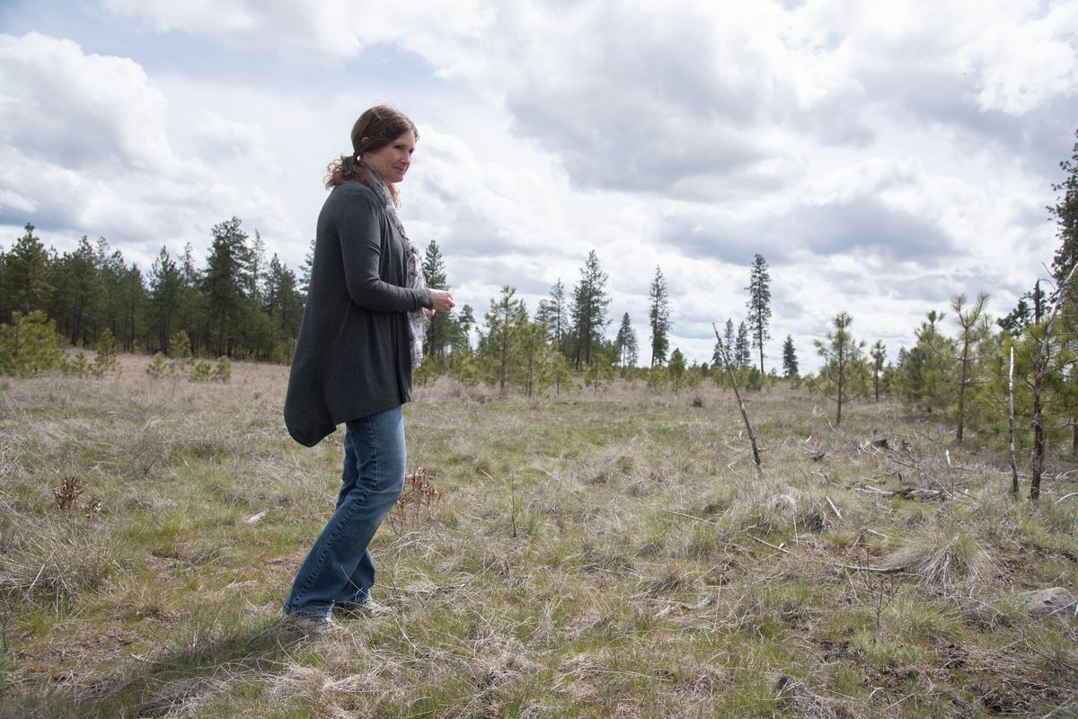 Chris Hosmer walks April 20 on property that borders a large established gravel pit on Grove Road, south of the Geiger exit off of Interstate 90. Poe Asphalt is trying to open a gravel pit on the land. Local residents, including Hosmer and her husband Rick, are fighting the proposal.  (JESSE TINSLEY/THE SPOKESMAN-REVIEW)