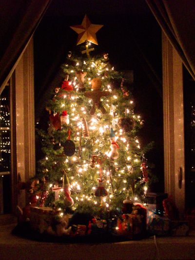 While Christmas trees are beautiful, some in the environmental movement are concerned about cutting down living plants. Others say plastic trees are worse, even though they don't need to harvested year after year.  (Renee Sande / Down to Earth NW Correspondent)