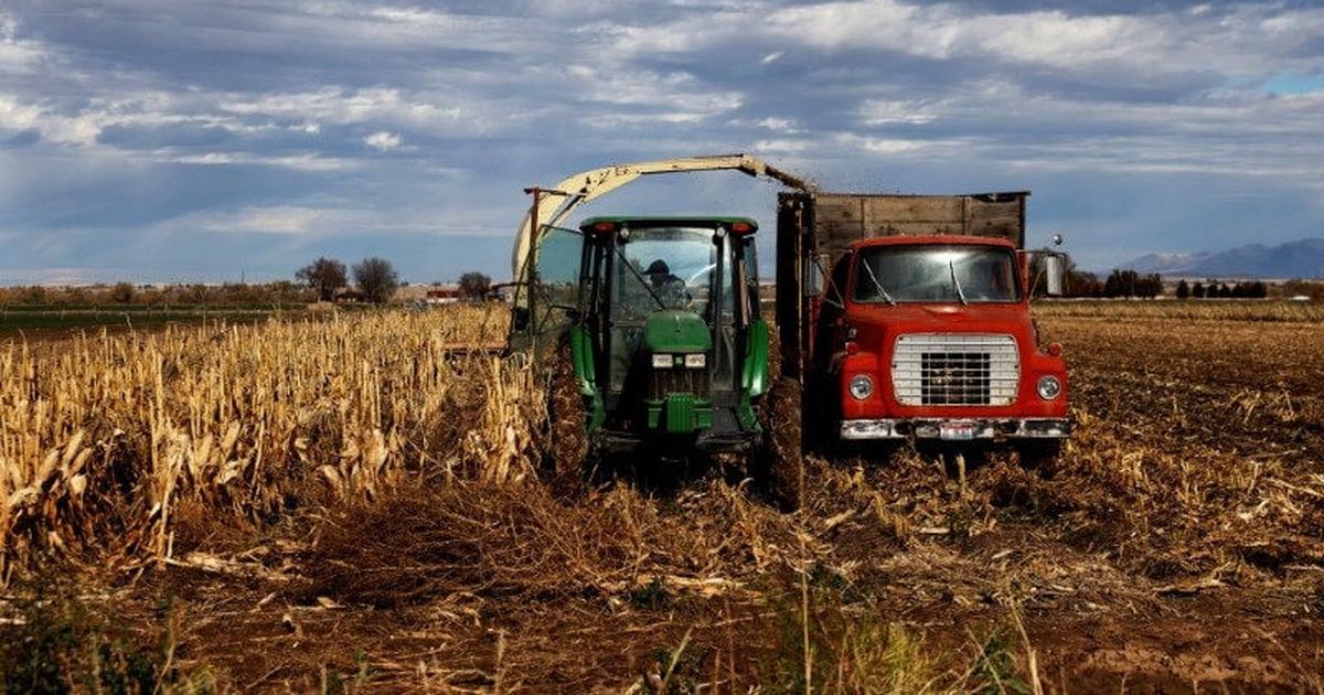 China to buy at least $17 billion in U.S. agricultural products annually, White House says