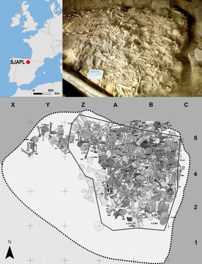 An ancient mass grave uncovered in Spain reveals evidence of “sophisticated” warfare, researchers said.    (Courtesy the journal Scientific Reports/TNS)