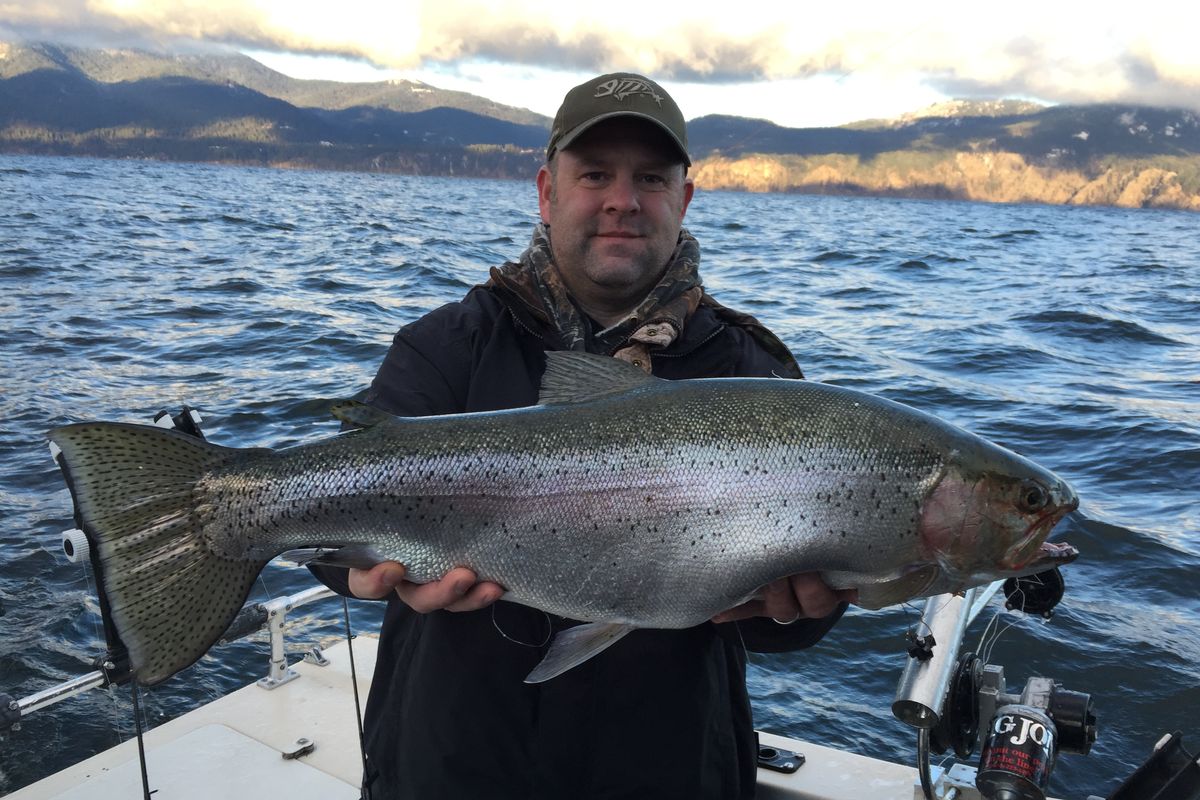 Brian Ivy with a 15-pound rainbow caught in the 2015 Lake Pend Oreille Fall Fishing Derby. (Courtesy)