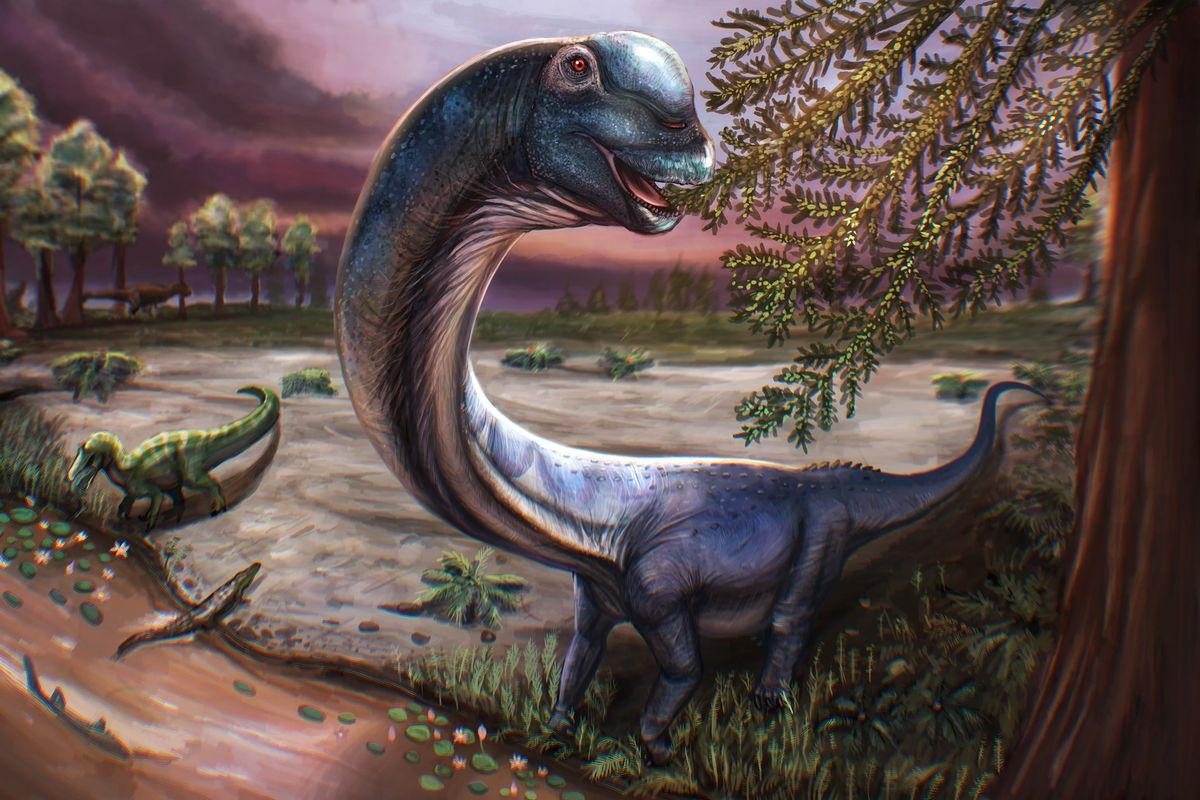 An artist’s illustration of the dinosaur dubbed “The Last Titan.”  (Patchanop Boonsai)