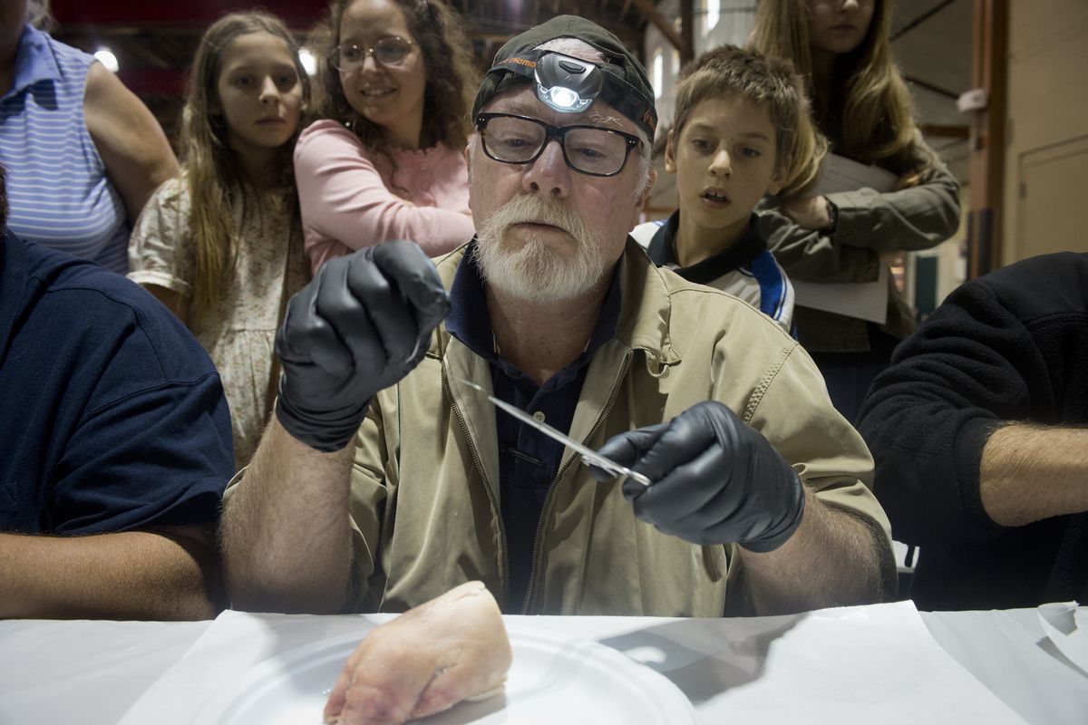Mac Mackin, of Post Falls, takes a suture needle and thread and prepares to practice suturing on a pig’s foot during a class on emergency wound care Sunday at the Sustainable Preparedness Expo at the Spokane County Fair and Expo Center. (Jesse Tinsley)