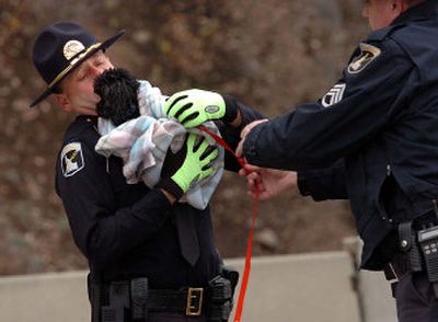 
Capt. Wayne Longo of the Idaho State Police takes a dog from another officer before passing it on to an animal control officer at the scene of an auto collision late last month.
 (File/ / The Spokesman-Review)
