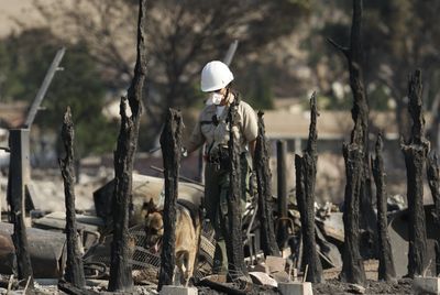 A search and rescue worker and her dog walk through the Oakridge Mobile Home Park in the Sylmar area of Los Angeles on Sunday.  (Associated Press / The Spokesman-Review)