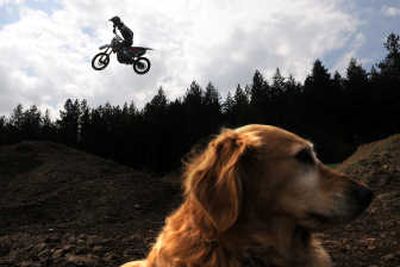 
McConahy
 (The Spokesman-Review)