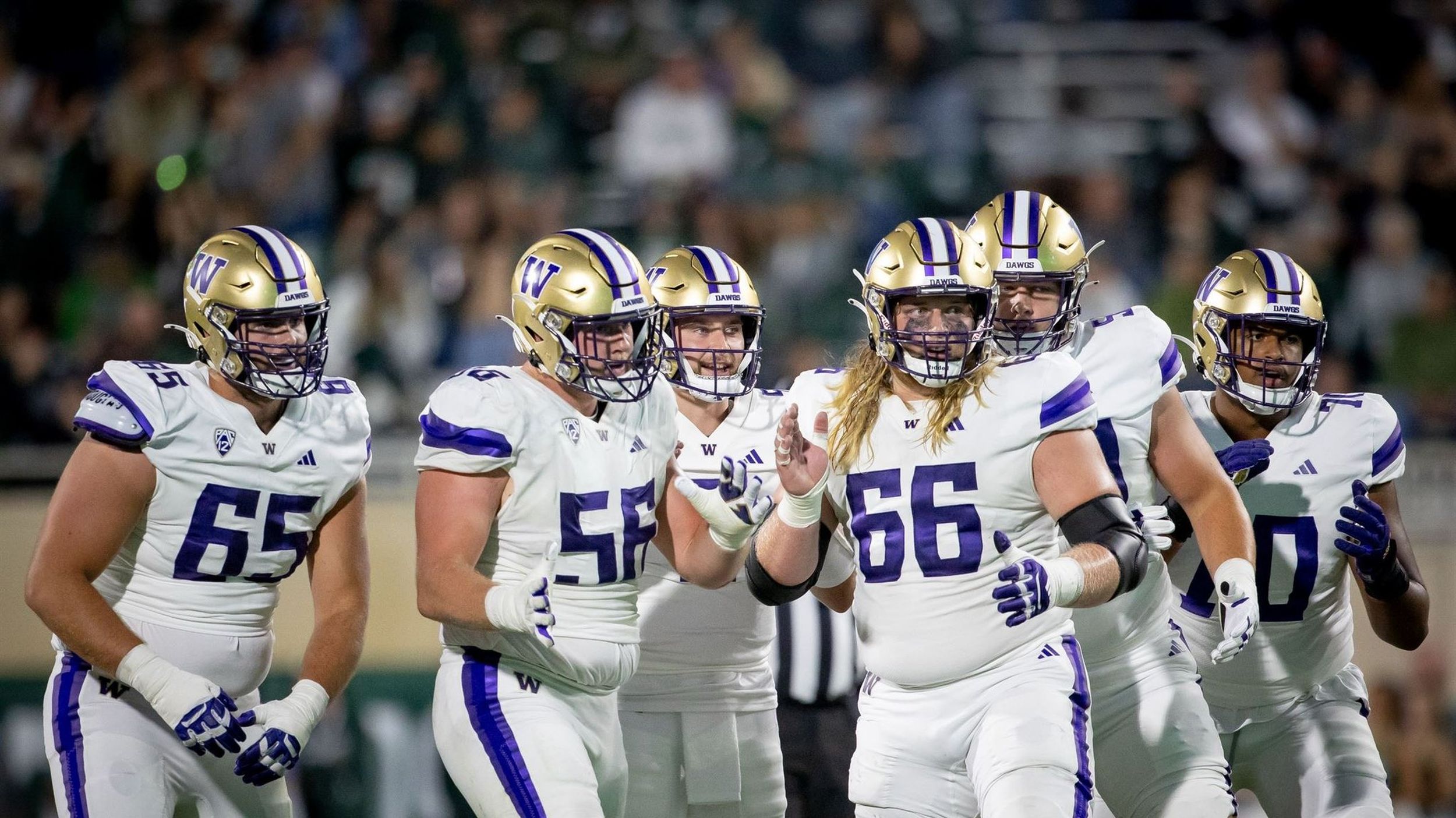 A Relationship Born on the Gridiron: Seahawks and Huskies - UW Dawg Pound