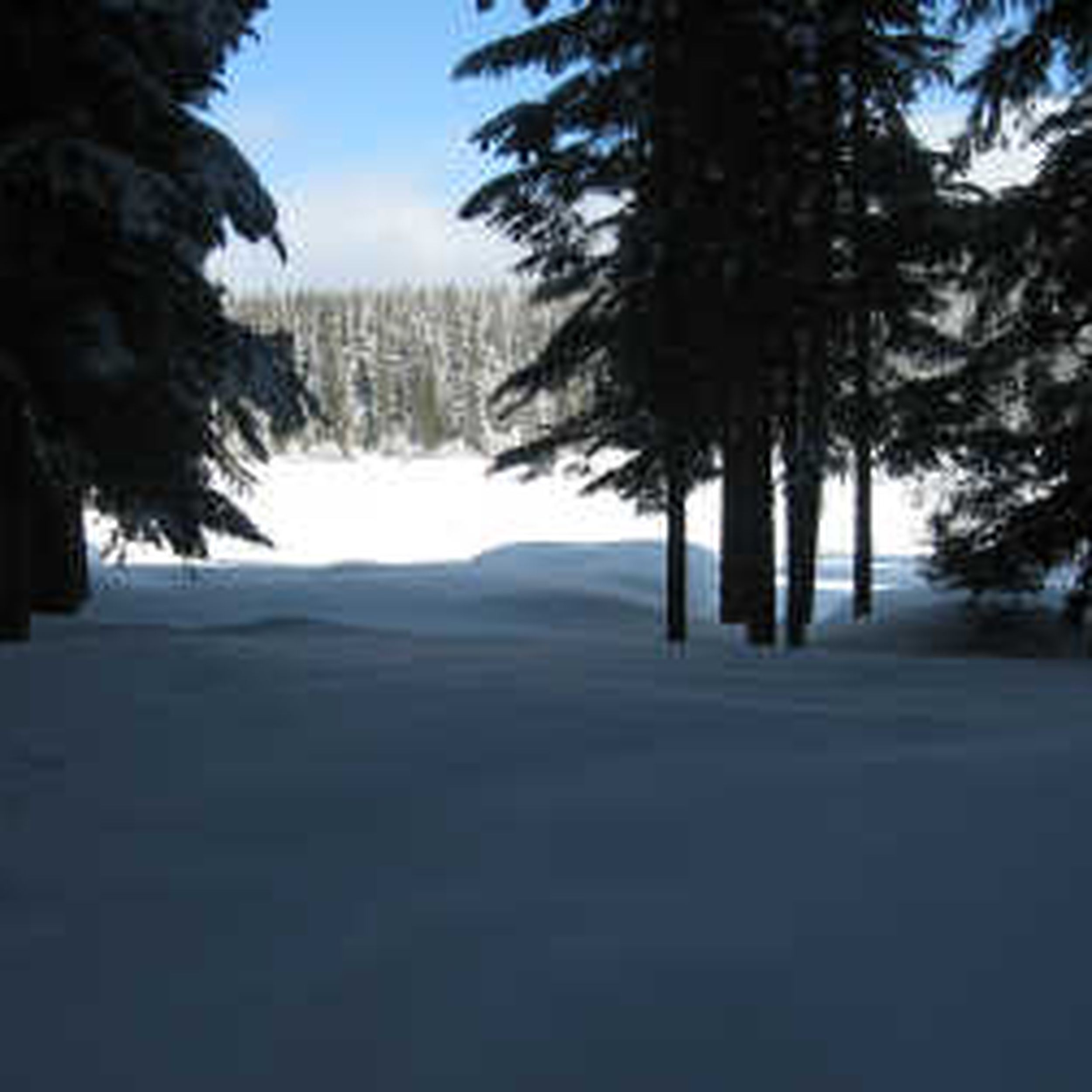 Shelter Yourself At Odell Lake The Spokesman Review