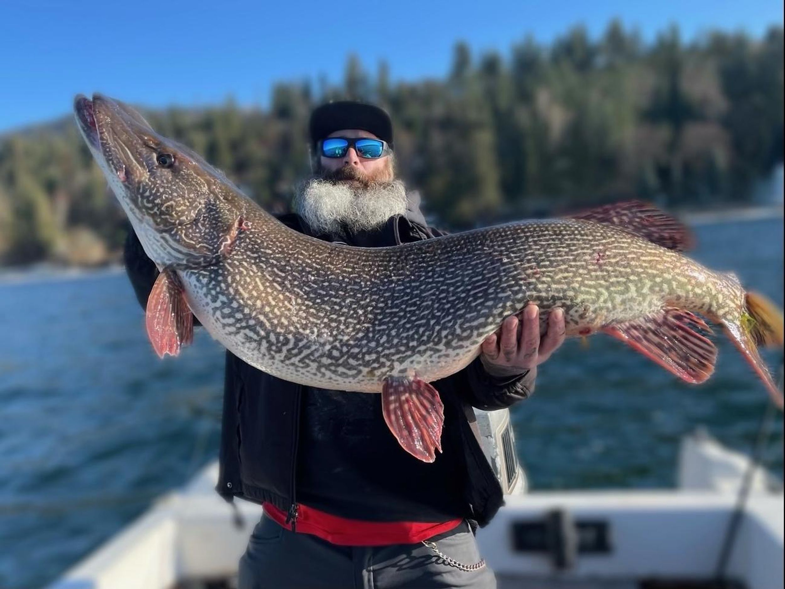 New state record northern pike caught in North Idaho's Hayden Lake