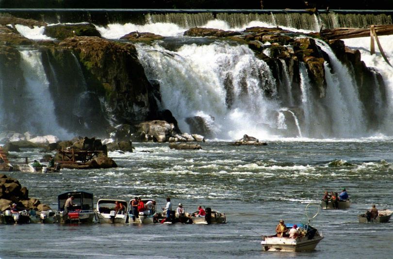 Fisherman jockey for position in this undated photo at the base of Willamette Falls on the Willamette River in Oregon City, Ore.  (Don Ryan / Associated Press)